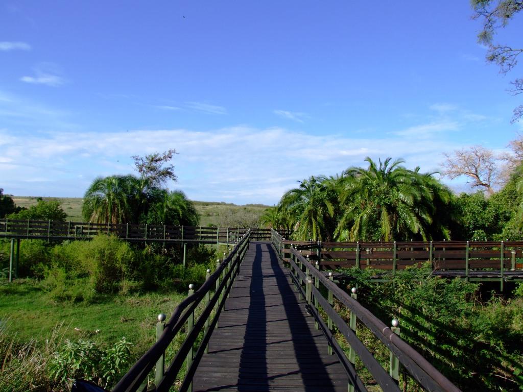 Keekorok-Lodge-MasaiMara5