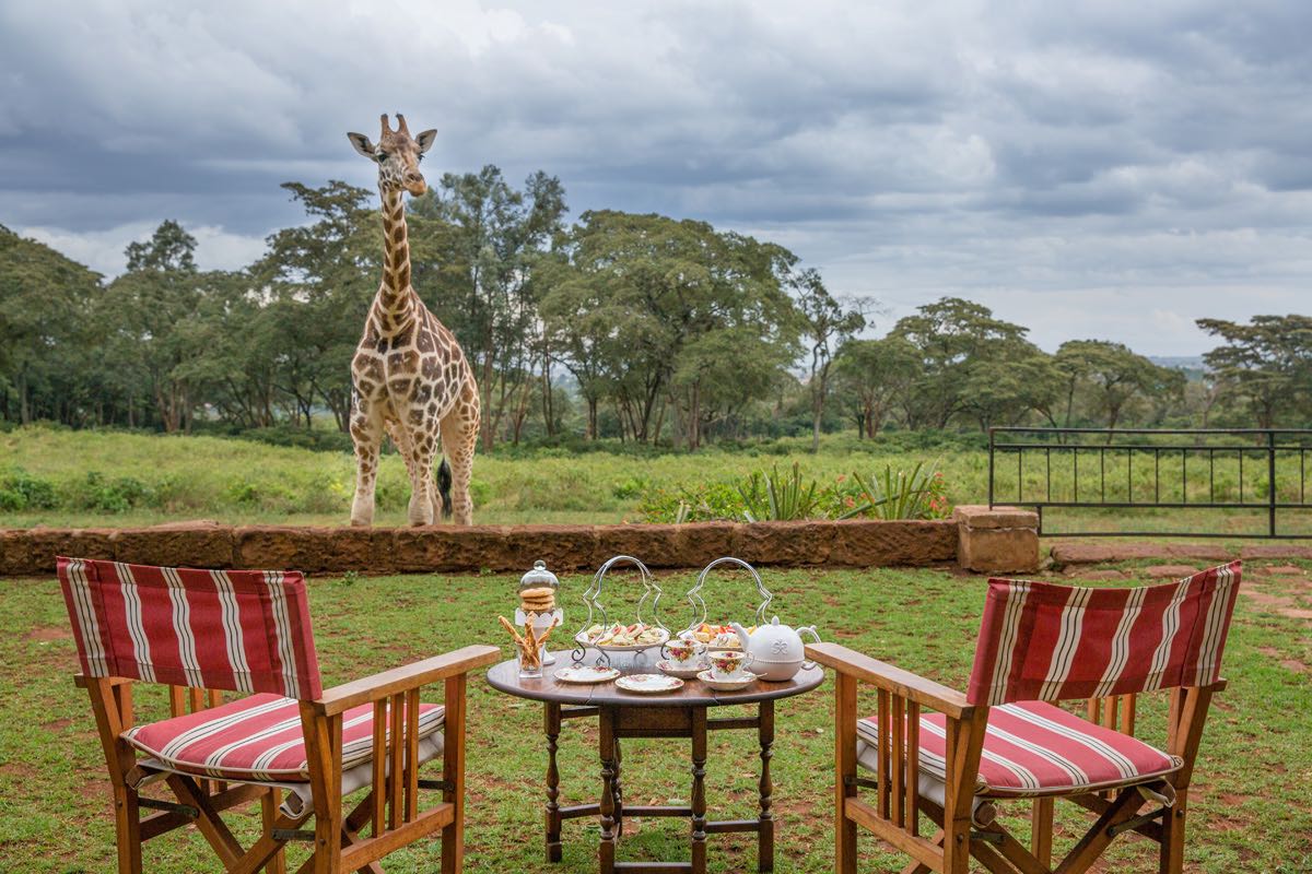 Giraffe_Manor_Nairobi15