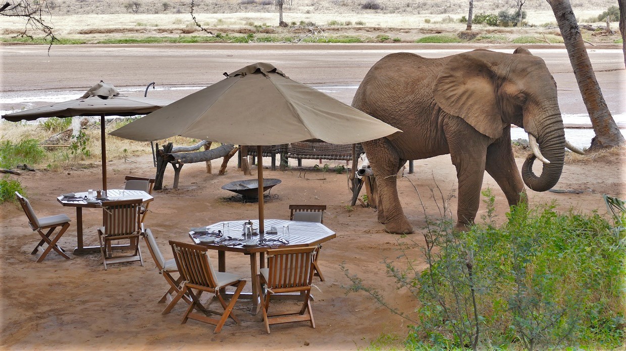 Elephant-Bedroom-Camp4