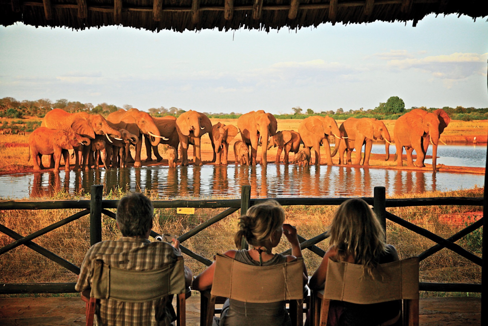 voi-wildlife-lodge4