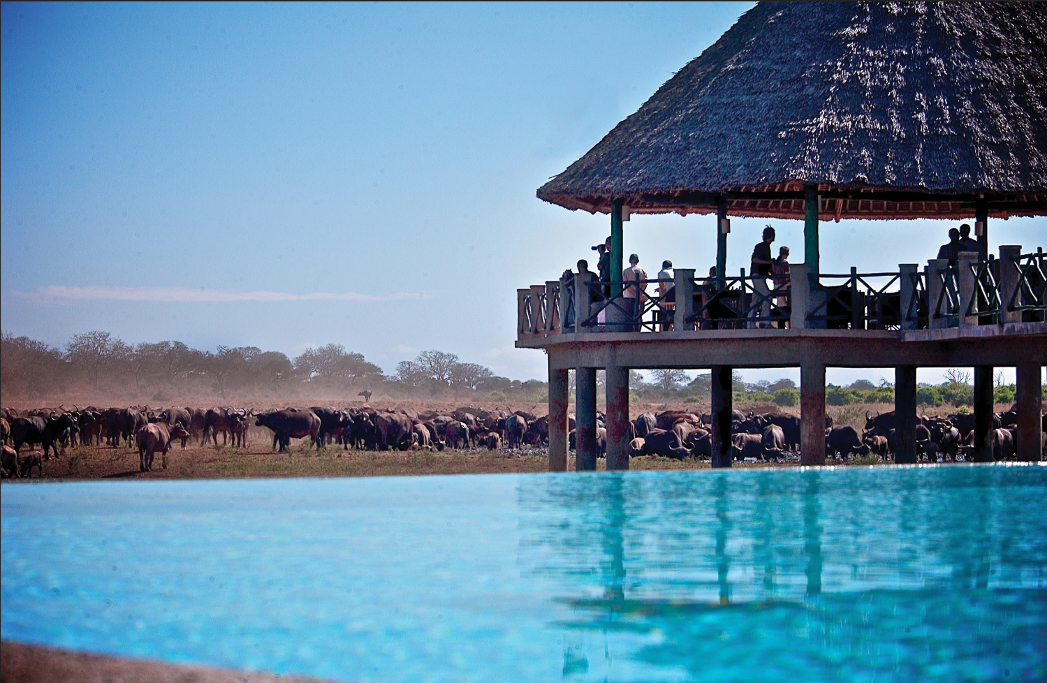 voi-wildlife-lodge5