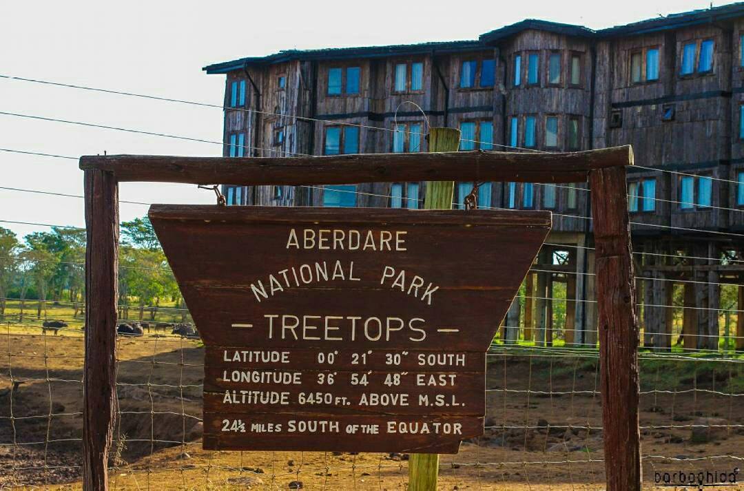 Treetops Lodge Aberdares4