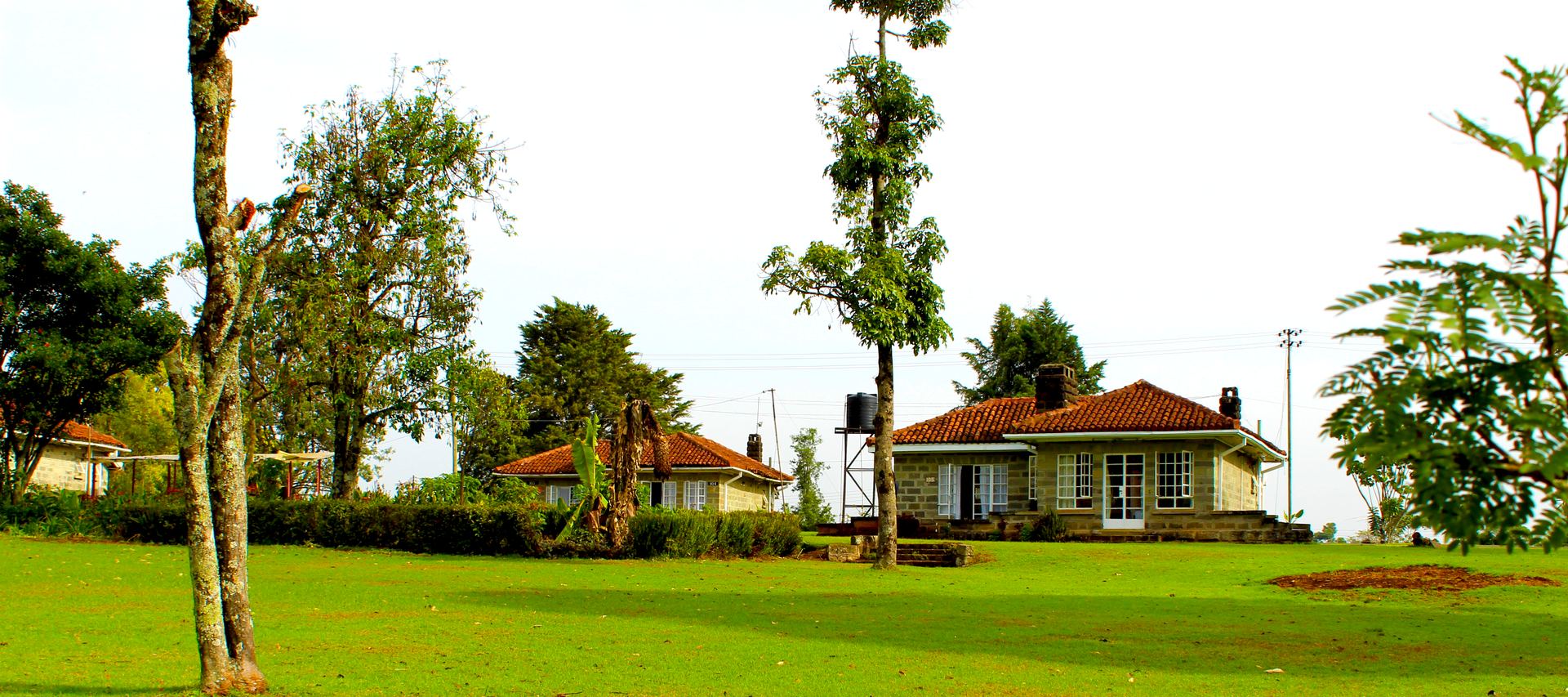 kerico-tea-hotel6