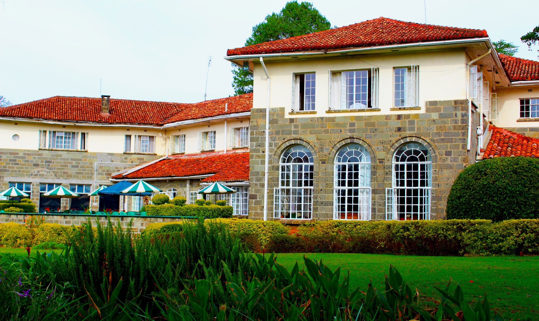 kerico-tea-hotel8