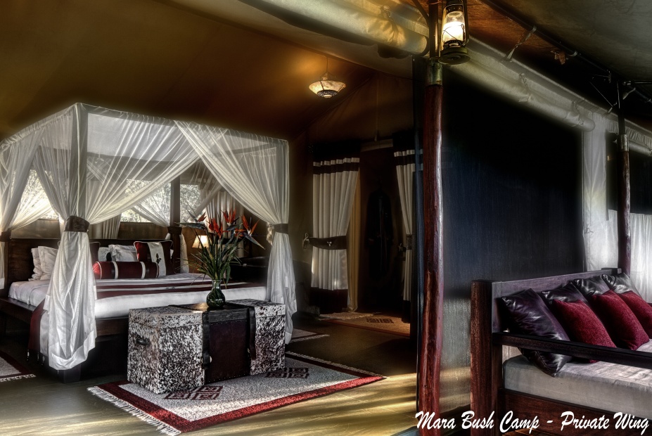 mara-bush-camp6