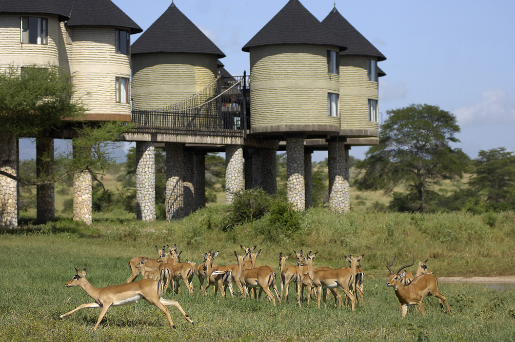 sarova-saltlick