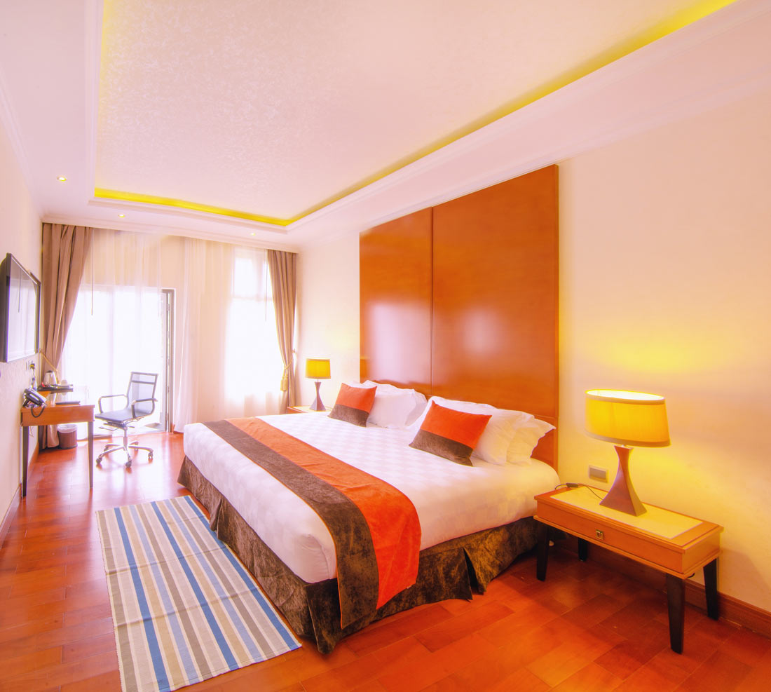 alba-hotel-meru4